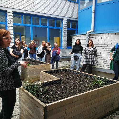 Raised garden beds were built in course of the Sustainability project