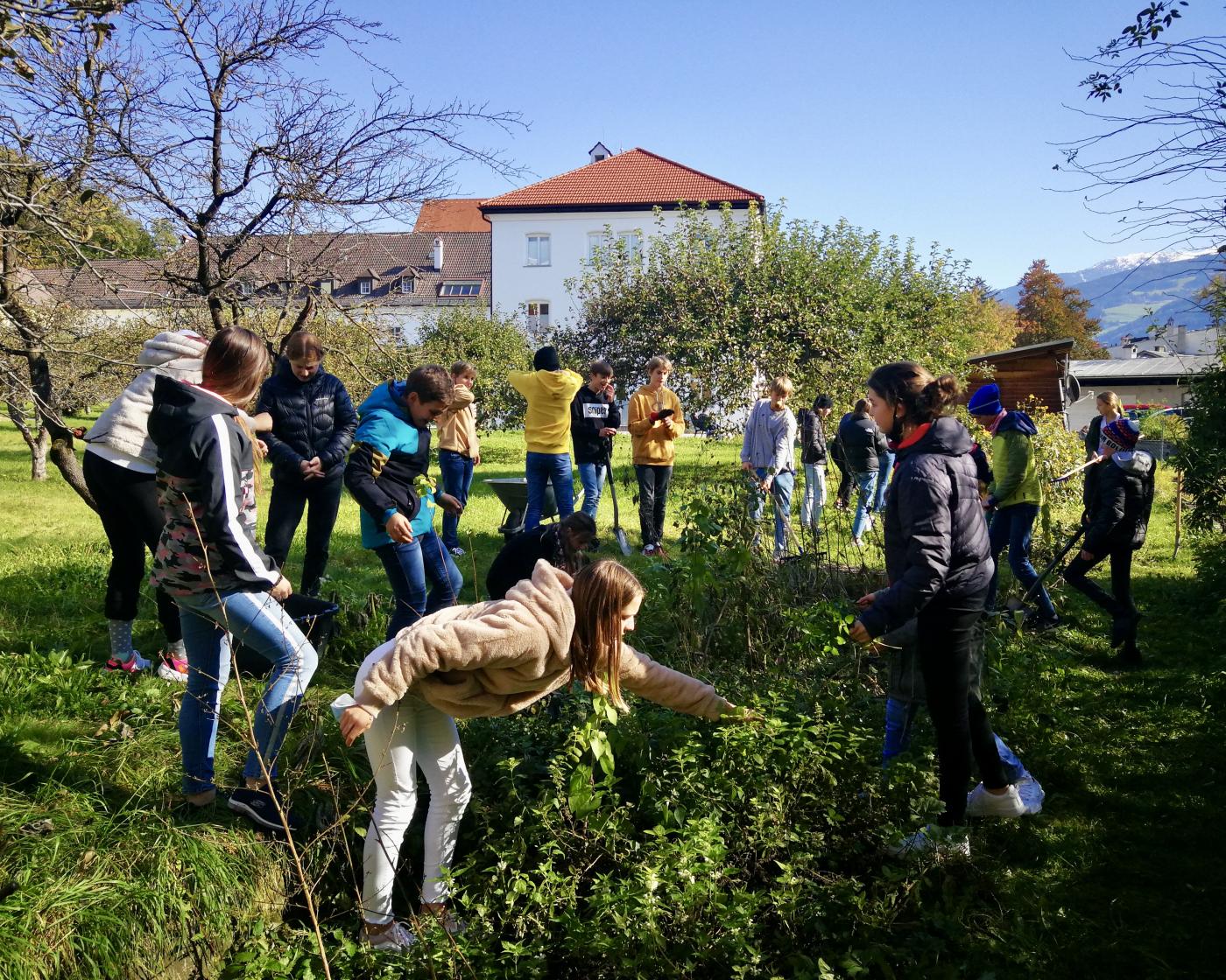 P20_3_Garten06 Unser Schulbeet: In der Natur arbeiten, entdecken, beobachten, graben, einpflanzen, ernten, Spaß haben