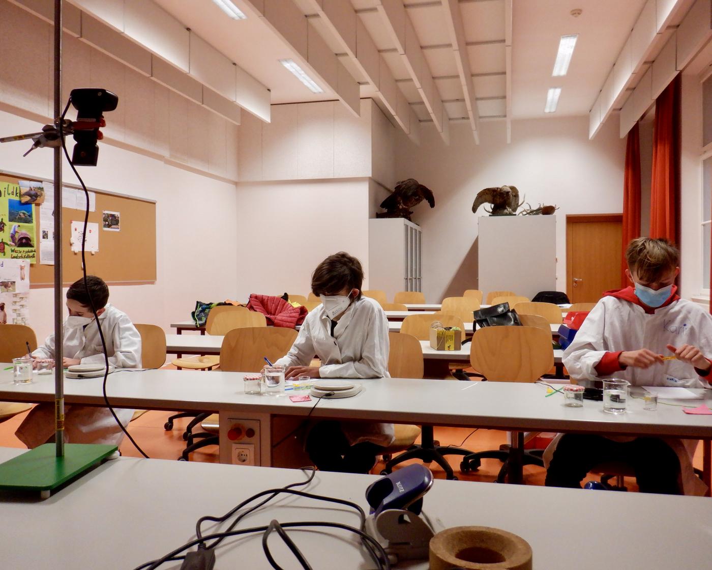 Vorstellung des ORG-Zweiges