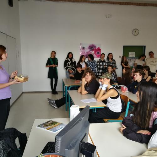 Micro Greens are cultivated in the classroom