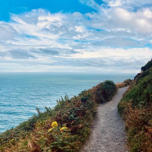 Erasmus+-Fortbildung an der Europass Teacher Academy in Dublin