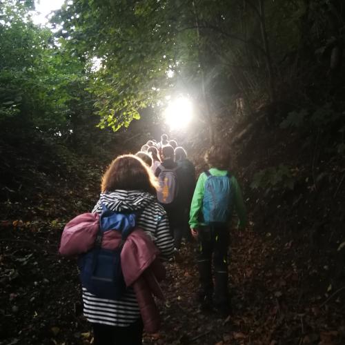 Franziskustag Juddenstein