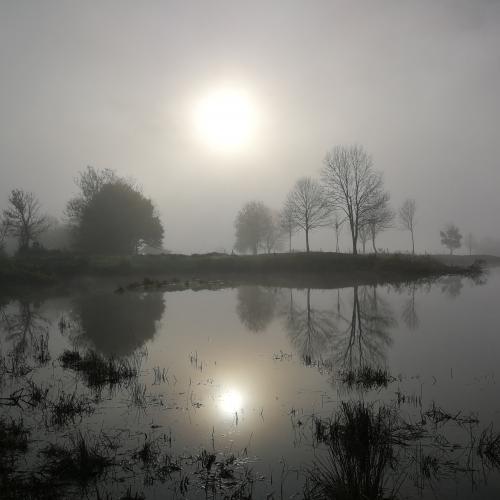 Von den Alpen bis zum Meer: Das Projekt „Alpen und Meer“