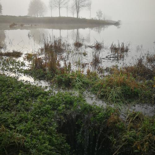 Von den Alpen bis zum Meer: Das Projekt „Alpen und Meer“