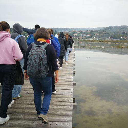 Von den Alpen bis zum Meer: Das Projekt „Alpen und Meer“