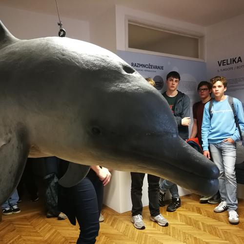 Von den Alpen bis zum Meer: Das Projekt „Alpen und Meer“