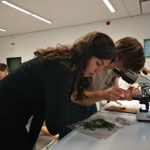 Von den Alpen bis zum Meer: Das Projekt „Alpen und Meer“