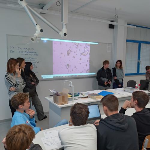 Von den Alpen bis zum Meer: Das Projekt „Alpen und Meer“