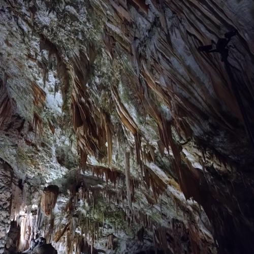 Von den Alpen bis zum Meer: Das Projekt „Alpen und Meer“