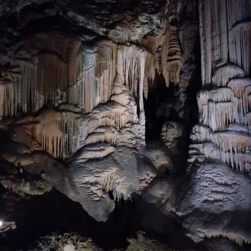 Von den Alpen bis zum Meer: Das Projekt „Alpen und Meer“