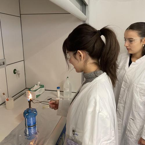 Swarovski-Labortag 2025