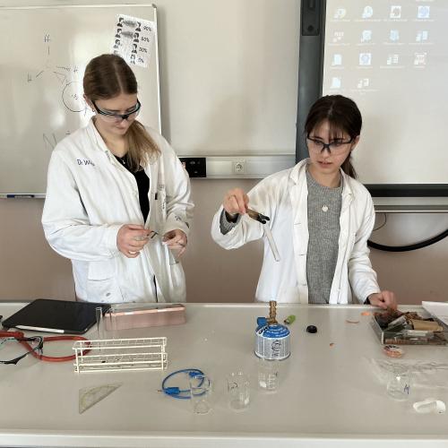 Swarovski-Labortag 2025