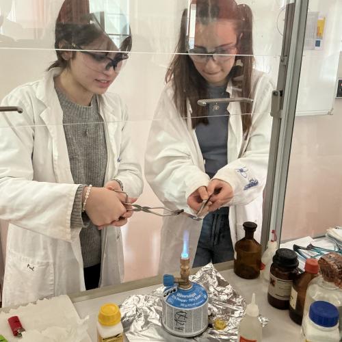 Swarovski-Labortag 2025