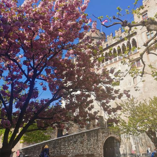 Euregio-Projekt Trento