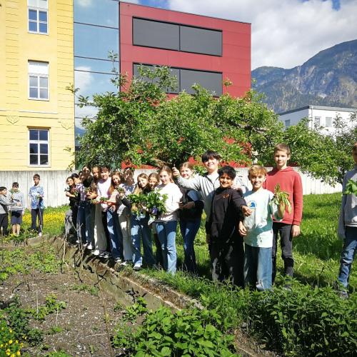 Schulgarten 2025