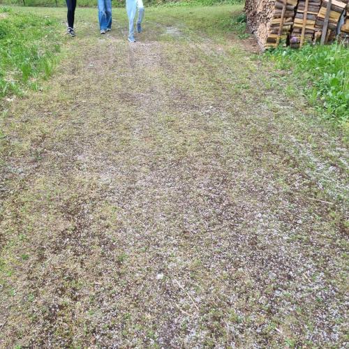 Gemeinsam unterwegs - nach Schwaz