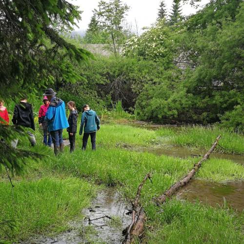 Klasse 2c:  Keine Elritzen im Lech