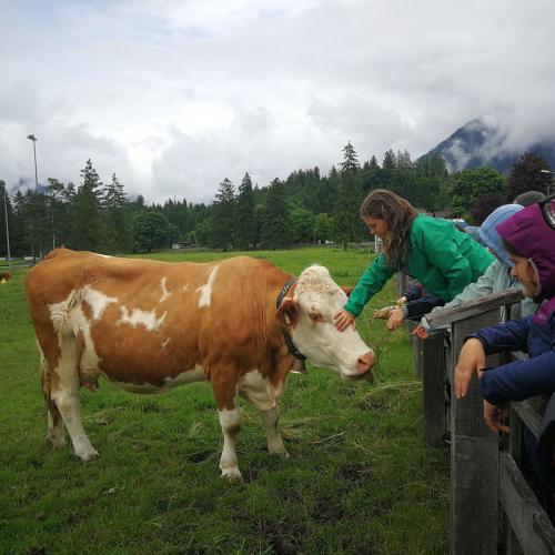 Klasse 2c:  Keine Elritzen im Lech