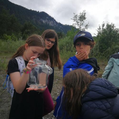 Klasse 2c:  Keine Elritzen im Lech