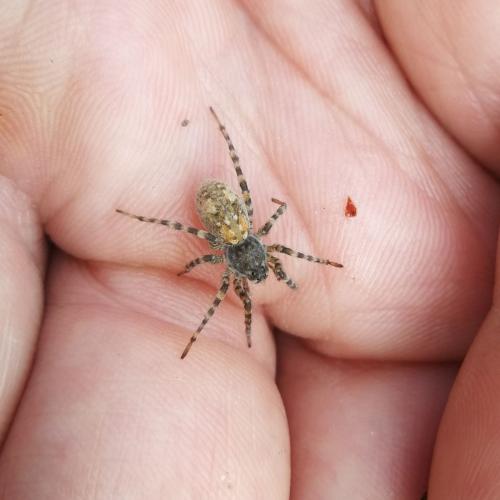 Klasse 2c:  Keine Elritzen im Lech