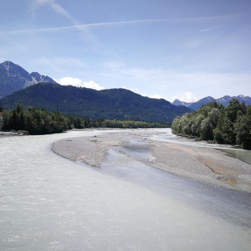 Klasse 2c:  Keine Elritzen im Lech