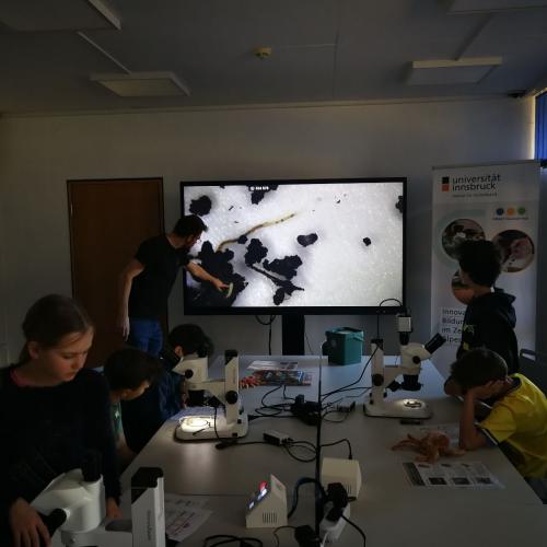 Virtuelle und reale Welt der Bodentiere