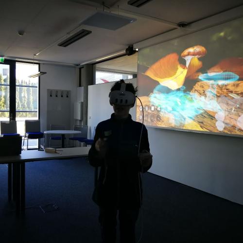 Virtuelle und reale Welt der Bodentiere