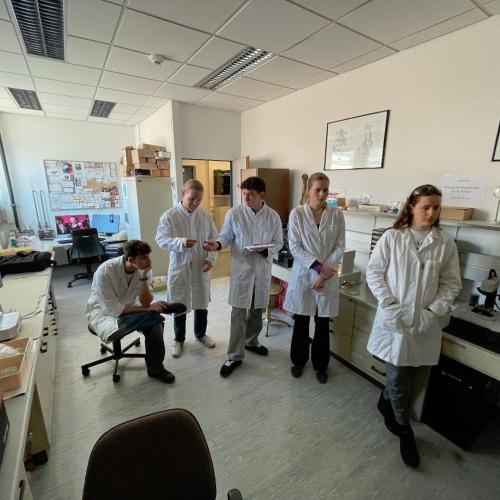 Swarovski-Labortag 2026