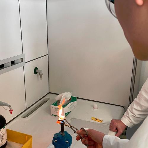 Swarovski-Labortag 2026