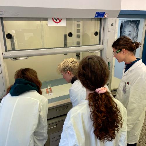 Swarovski-Labortag 2026