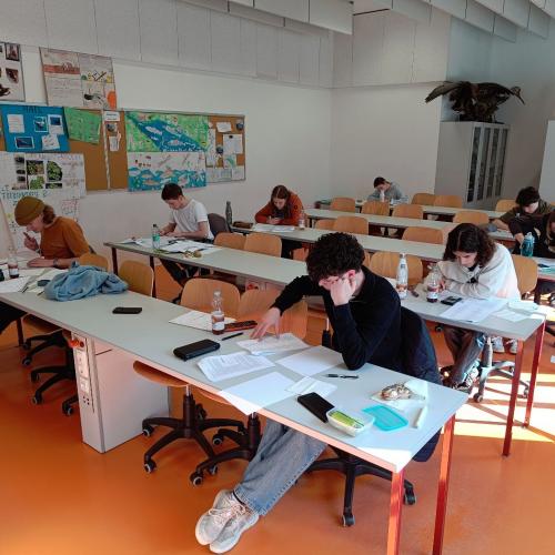 Landesfinale der Physikolympiade an unserer Schule