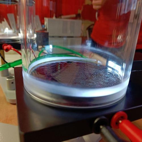 Physik-Workshops der 8. Klassen