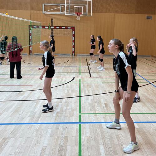 Minivolleyball 2026