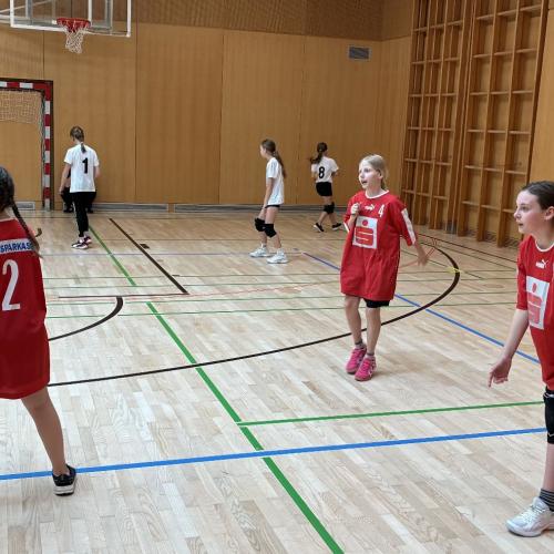 Minivolleyball 2026