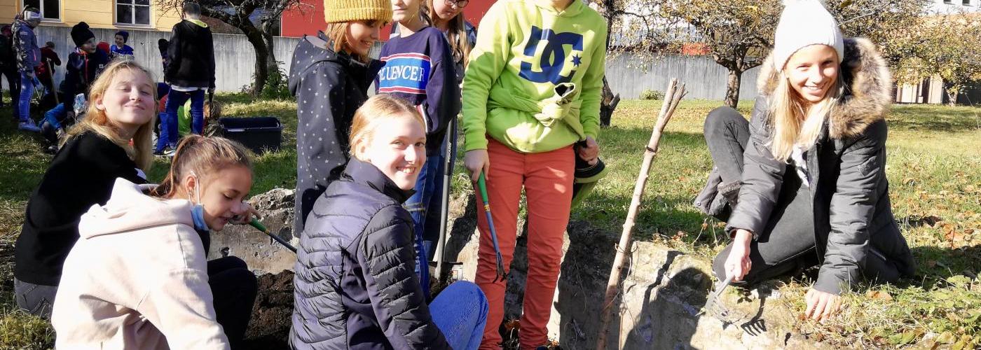 Unser Schulbeet: In der Natur arbeiten, entdecken, beobachten, graben, einpflanzen, ernten, Spaß haben
