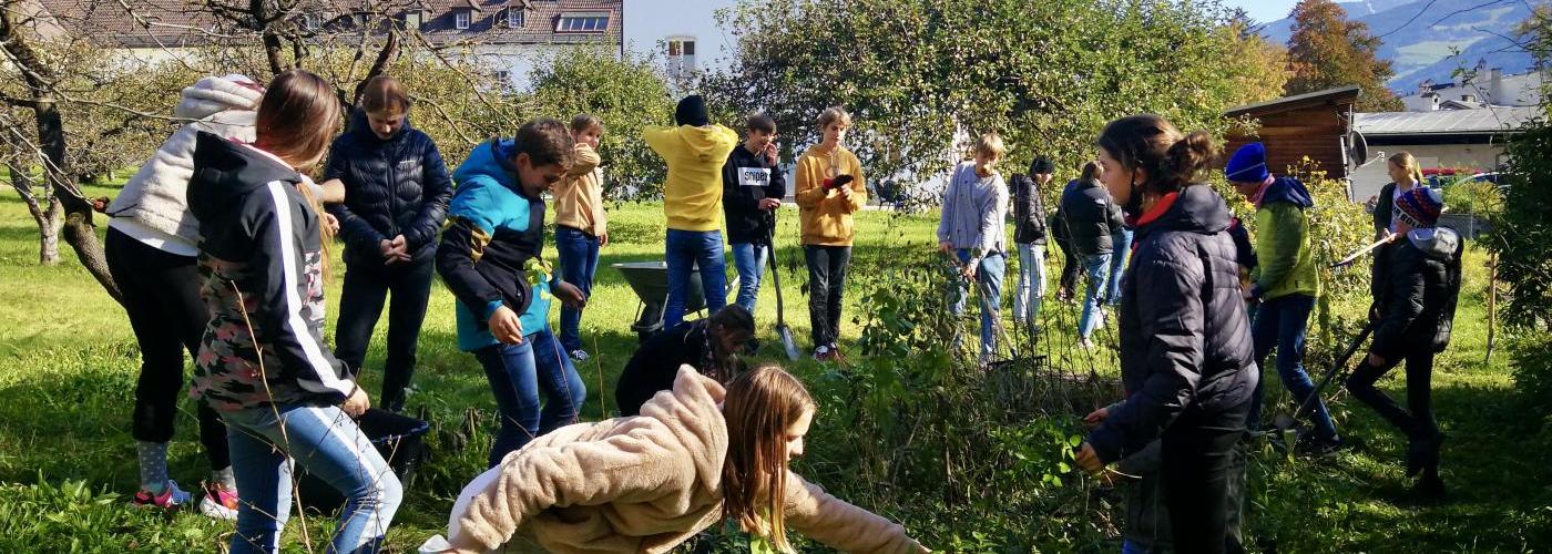 Unser Schulbeet: In der Natur arbeiten, entdecken, beobachten, graben, einpflanzen, ernten, Spaß haben