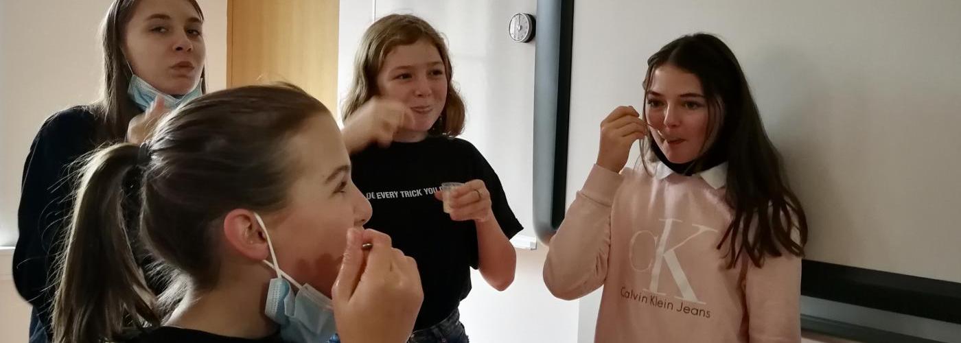 Filmprojekt der Klasse 4a in Chemie zum virtuellen Tag der offenen Tür: Herstellung von Speiseeis